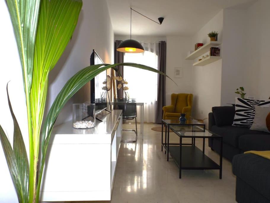 Apartamento Suite Centrico B マラガ エクステリア 写真