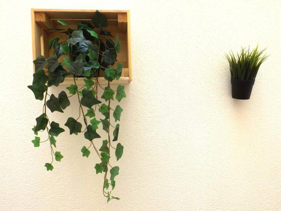 Apartamento Suite Centrico B マラガ エクステリア 写真